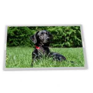 3.5-Inch WLED TFT LCD Display Module COM35H3P58ULC 320*24 Resolution LED