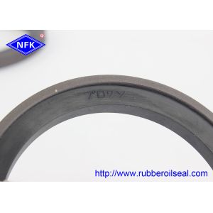 PTFE PU EPDM Rubber Oil Seal SPG 60 765 7075 Double Acting