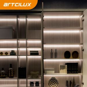 Always On and Customizable Adaptable LED Light String with 240led Per Meter