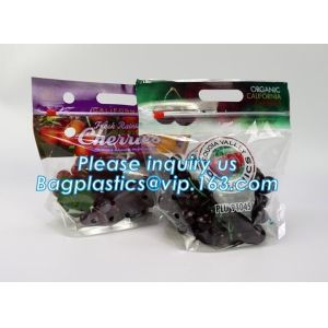 Resealable Vent Hole Plastic Bag For Fruit With Slider, OEM Printed Logo food