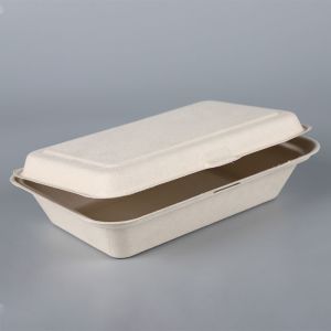 compostable sugarcane clamshell sushi to go box bagasse disposable biodegradable