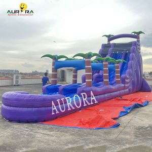 Purple Inflatable Playground Slide For Schools And Day Cares