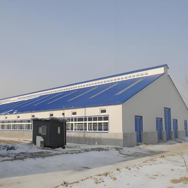 Dairy Agricultural Steel Framed Building Easy Install Prefabricated Light Steel Structure