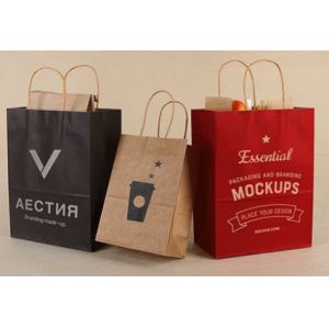 Embossed Printing Paper Bag 250gsm Printed Paper Carrier Bags