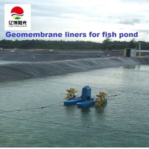 Waterproof HDPE Geomembrane for Aquaculture Pond Liners Long Service Life