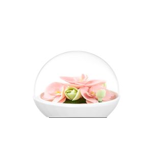 Fragrance Essential Oil Hand Made Ceramic Candle Holder Decoration With