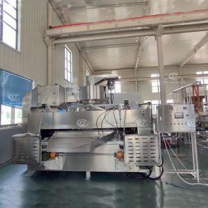 50-100kg/h Nut Swing Roaster Machine with PLC Control
