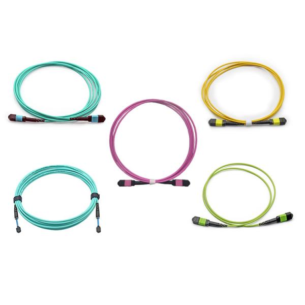 Quality OS2 OM3 OM4 OM5 SM MM 8F 12F 24F Elite Loss MPO MTP patchcord wholesale