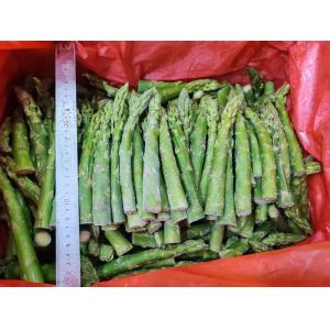 Get the Best Frozen Vegetable for Your Business Needs Green Asparagus