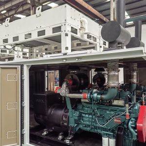 1MW 1.2MW Natural/biogas/biomass Gas Generator Power Plant with 230/400V Rated