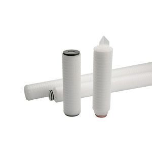 High Precision 10" Pharmaceutical Pore Structure Asymmetric PES Filter Cartridge