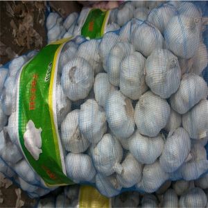 Cheap GARLIC WITH 20KG MESHBAG PACKAGE for sale