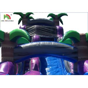 Dual Lane 0.6mm PVC Inflatable Water Slide With Pool 30ft Purple For Summer