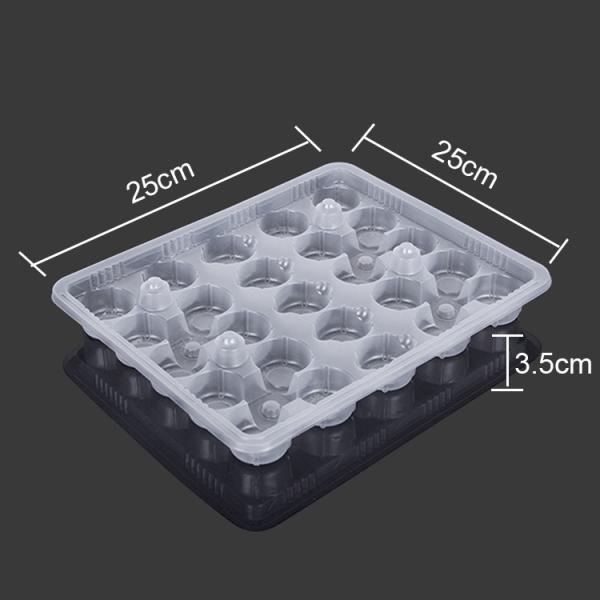 Small Partition Sectional 25cm Plastic Pastry Packaging