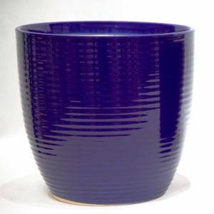 Stunning Plant Display With Our Ceramic Pots Various Sizes Available Ceramic