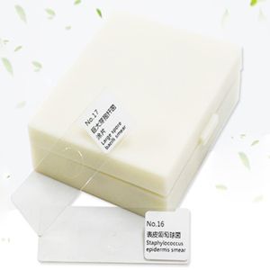 25pcs Protozoa And Algae Laboratory Slides For Biology Research