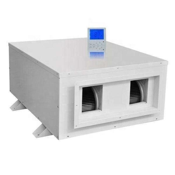 288L/D Factory Produce Ceiling Mounted Dehumidifier Greenhouse Indoor Swimming