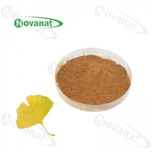 China 100% Nature Gingko Biloba Leaf Extract Powder/USP/E.P/CP15/Dietary Supplements Ingredients on sale