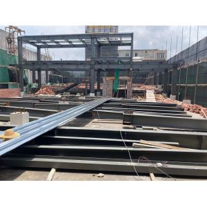 Custom Hollow Pipe Steel 25mm 40 HQ Poultry Farm Structure