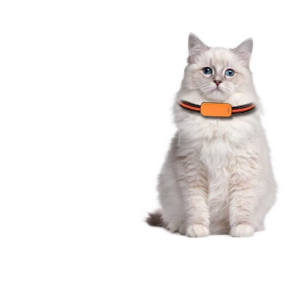 Voice Guidance RFID Pet Smart GPS Tracker Long Range Detection Global Coverage