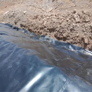 Chemical Resistant Fish Farm HDPE Geomembrane Circular Tanks for Chinese Design