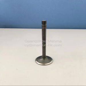 Intake Valve For ISUZU 4JB1 JMC JAC 4DA1 FOTON 8-94133275-1 1003011SC 1003012FA