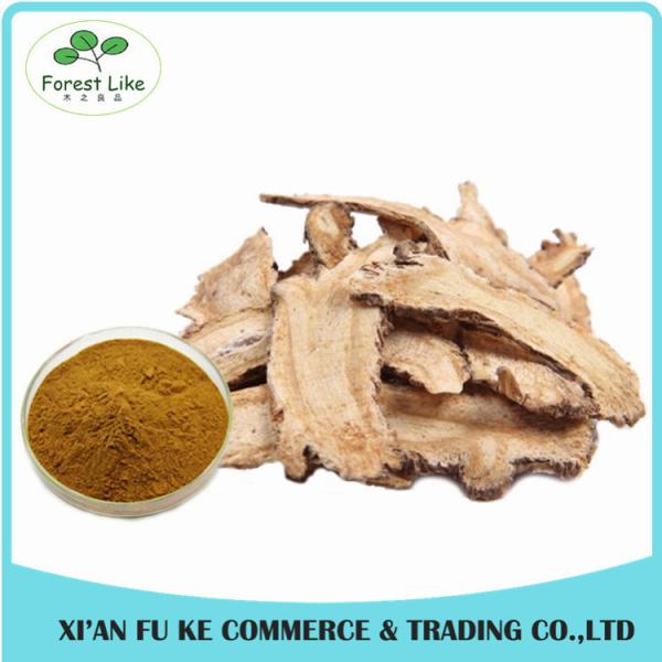 Quality 100% Pure Natural Dong Quai Extract/Angelica Root Extract Powder wholesale
