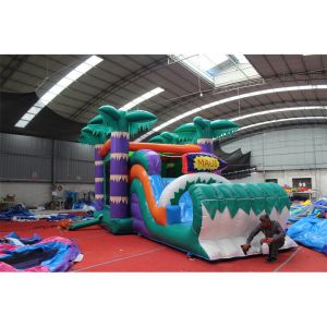 Age Range 5 to 7 years Commercial Pvc Jumping Bouncer Dry Slide Custom Logo