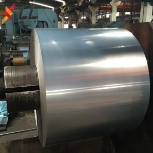 JIS Standard Hot Rolled Cold Rolled Stainless Steel Coil AISI /ASTM 301 304 304L