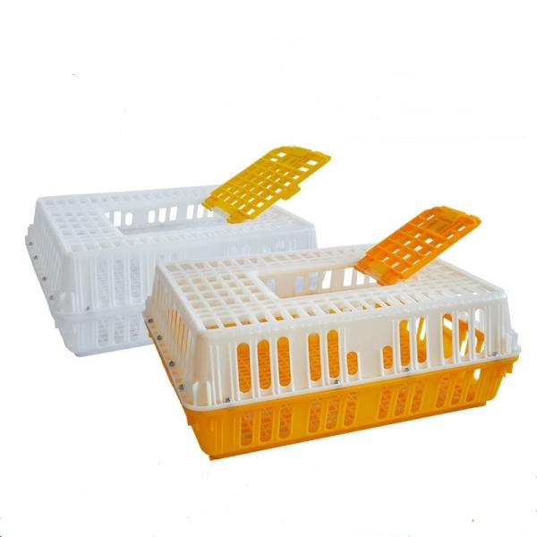 Quality Three Doors Broiler Transport Crates Poultry Polypropylene wholesale