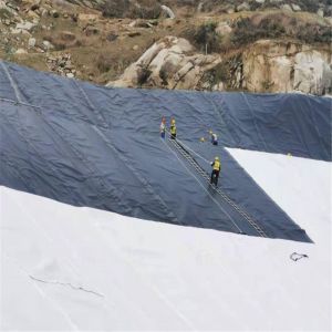 Customized Green 2mm HDPE Geomembrane for Reservoir and Heavy Duty Plastic Pond
