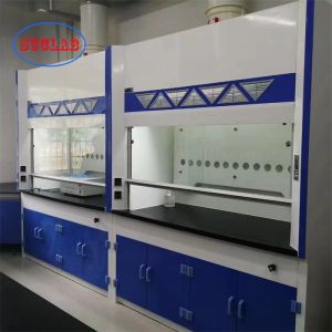 Anti Corrosion Laboratory Fume Cupboard Vertical Sliding Sash Type