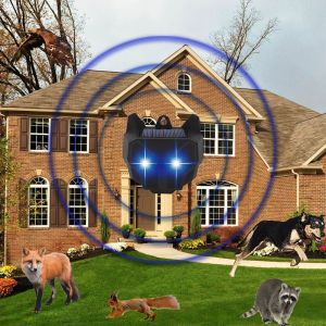 Solar Powered Red LED Lights Cockroach Trap and Raccoon Deterrent for Home