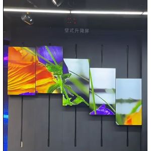 Custom Advertising Lifting Flexible Led Screen Wall Indoor Flexible Led Screen