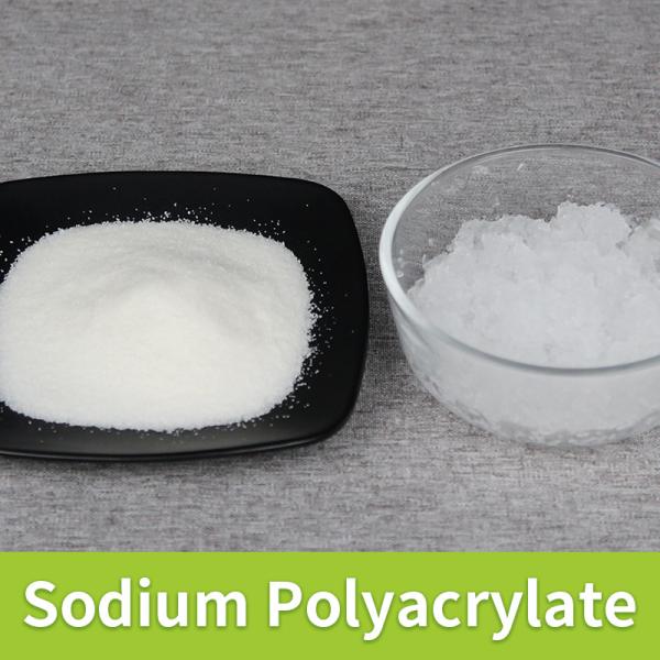 Quality Sodium Polyacrylate Powder SAP 99.9% Purity Super Absorbent Polymer wholesale