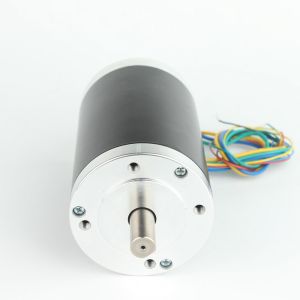 ROHS BLDC 220w Hall Sensor Brushless DC Motor screws mounted