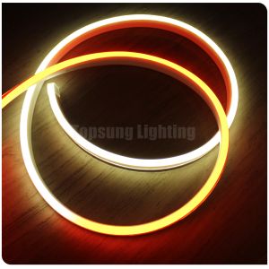Mini led Flex neon 12V for bridge architecture swimming pool light flat 11x19mm