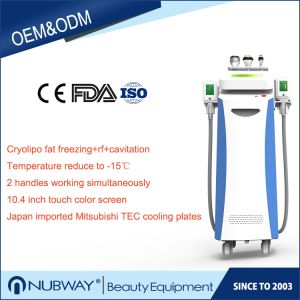 CE approval high quality effective result weight loss Cryolipoly machine