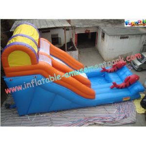 Kids Outdoor Inflatable Water Slides Games with PVC tarpaulin, Reinforced seams
