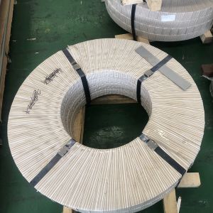 316 Inox Stainless Steel Strip Cold Rolled 20mm Width