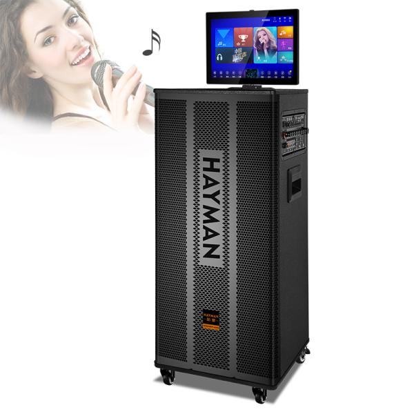 Double 80 Watts Bluetooth Portable Multi Function Speaker Wireless With Screen