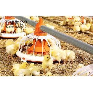 Cheap Steel Farming Prefabricated Poultry Farm Construction with Chicken Cages and Metal Sheds for sale