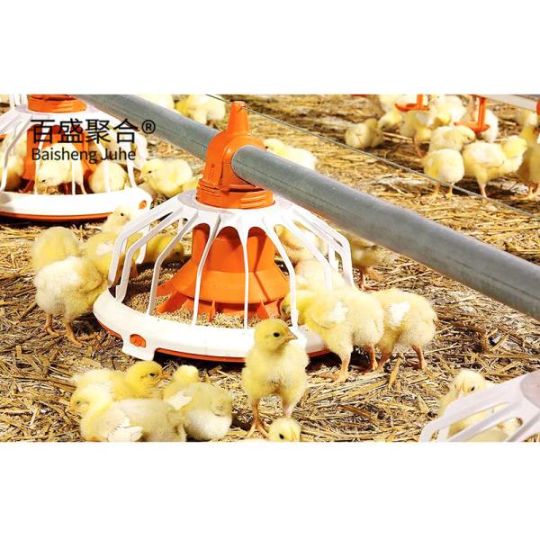 Steel Farming Prefabricated Poultry Farm Construction with Chicken Cages and
