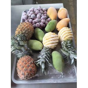 15kw Blast Impingement Tunnel Freezer 20C/Min For Fish Food