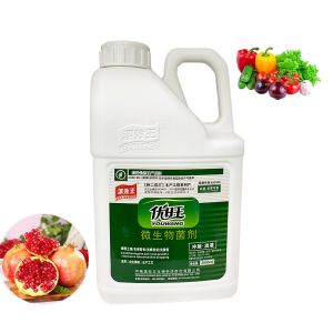 Agricultural Microbial Inoculant Organic Fertilizer Liquid