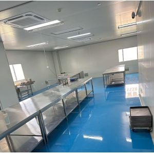 Class A Fireproof Clean Room Wall Partitions Customizable and Versatile Design