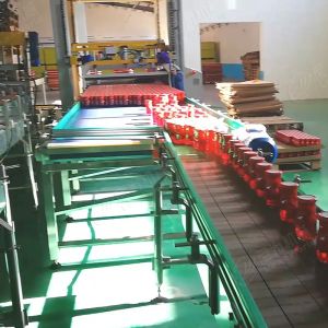 Leadworld Strawberry Fruit Canned Automatic Production Line Canning Machine