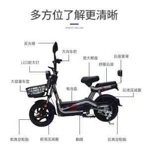 ELECTRIC VEHICLE WITH REMOTE CONTROL KEY TWO-PERSON ELECTRIC BICYCLE NEW BATTERY