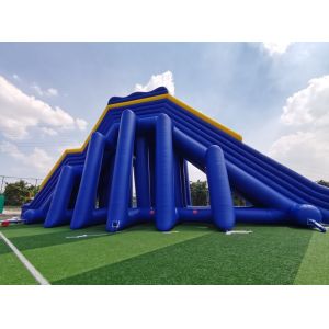 Giant Commercial Inflatable Water Slides Cartoon Theme For Adults