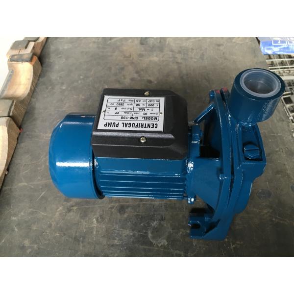 Quality CPM-130 0.37kW 0.5HP Brass Impeller Centrifugal Irrigation Pump wholesale
